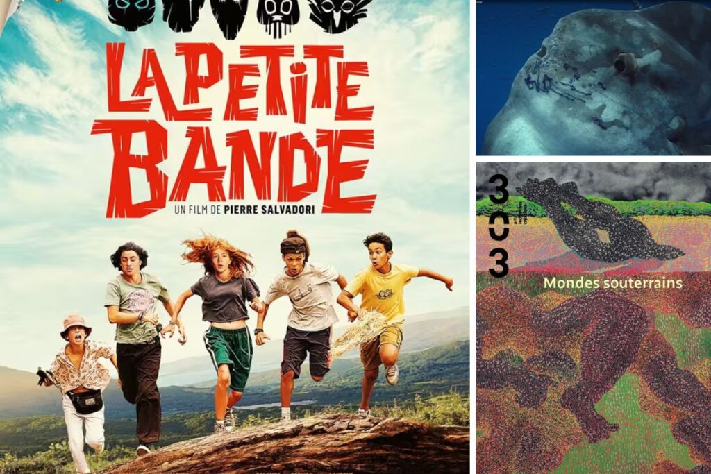 Montage réalisé par Mon Quotidien Autrement