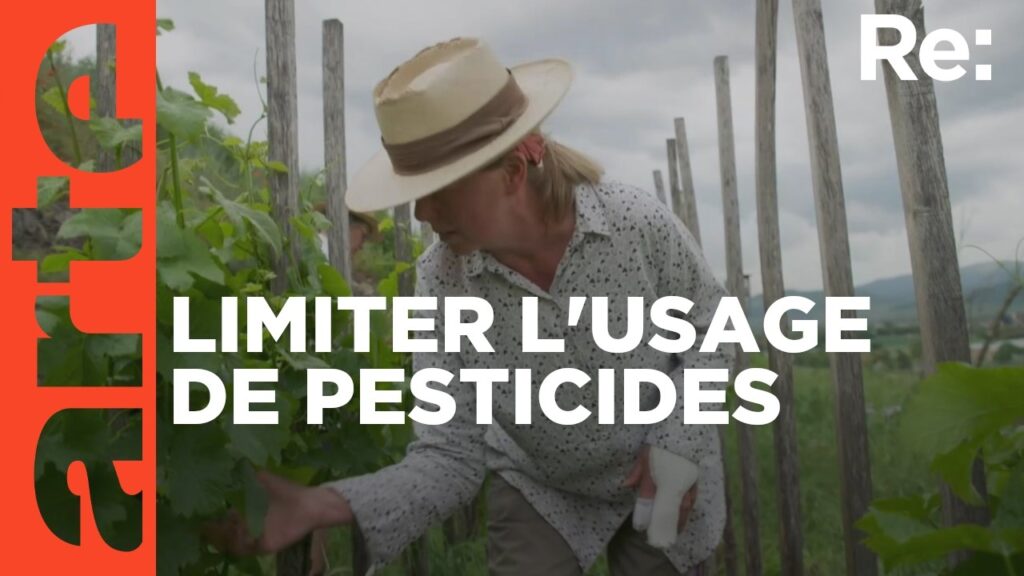 Vers une agriculture sans pesticides (Capture d'écran Arte)