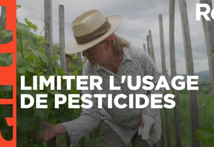 Vers une agriculture sans pesticides