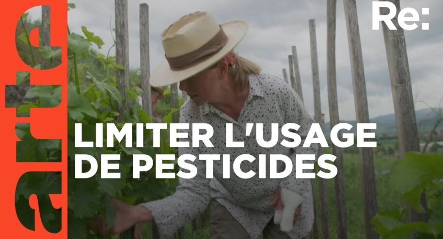 Vers une agriculture sans pesticides (Capture d'écran Arte)