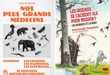 Les animaux ont-ils conscience de la mort ?