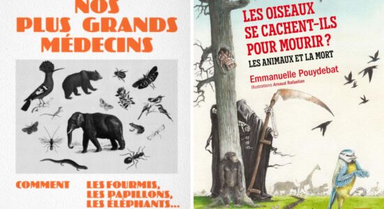 Les animaux ont-ils conscience de la mort ?