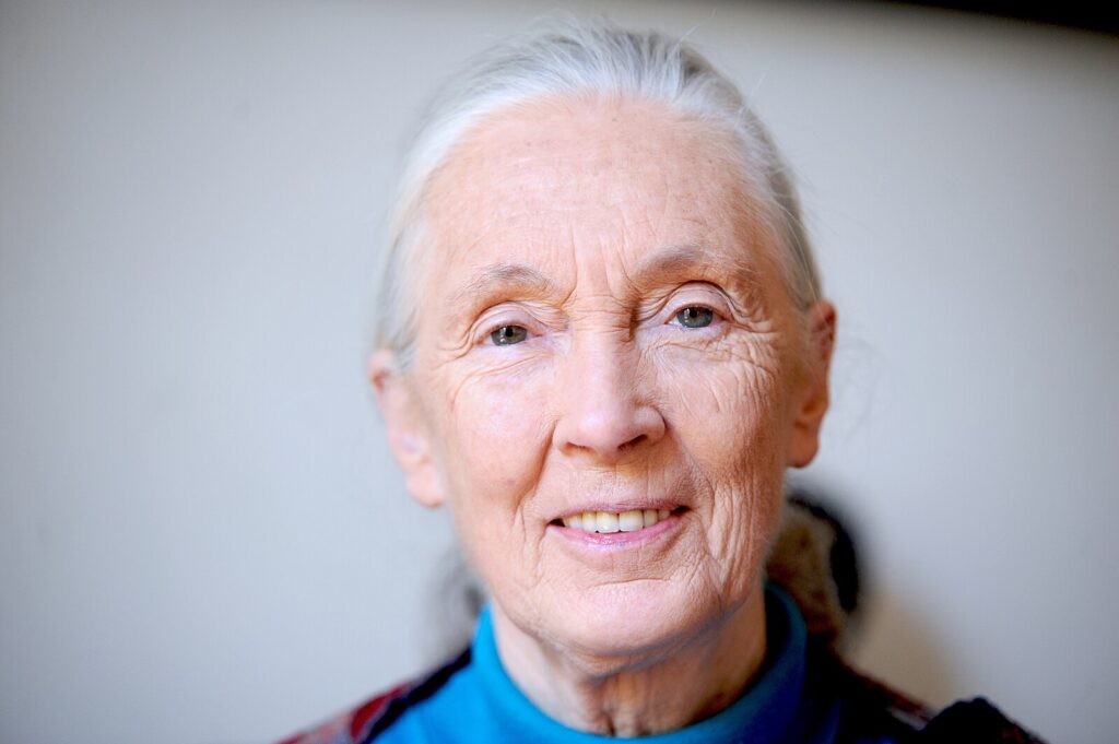 Jane Goodall, spécialiste des chimpanzés, à Paris en 2010 - Photo : Nicolas Richoffer, CC BY-SA 4.0