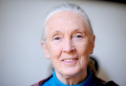 Jane Goodall : sa vie au service des chimpanzés