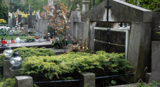 Plus d'égalité devant la mort