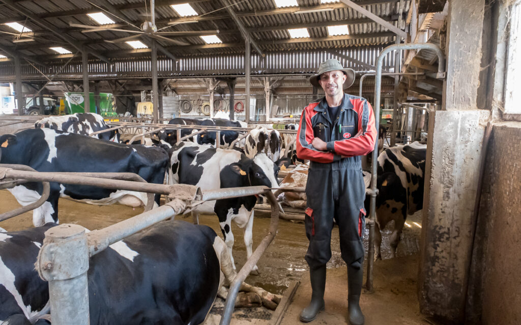 Damien Moan et ses vaches