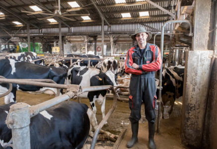 Visite d’une ferme en agriculture raisonnée où les vaches sont libres