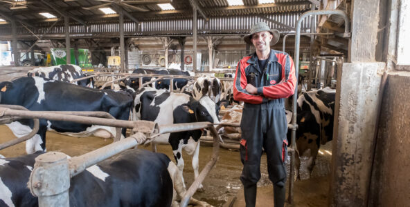 Visite d’une ferme en agriculture raisonnée où les vaches sont libres