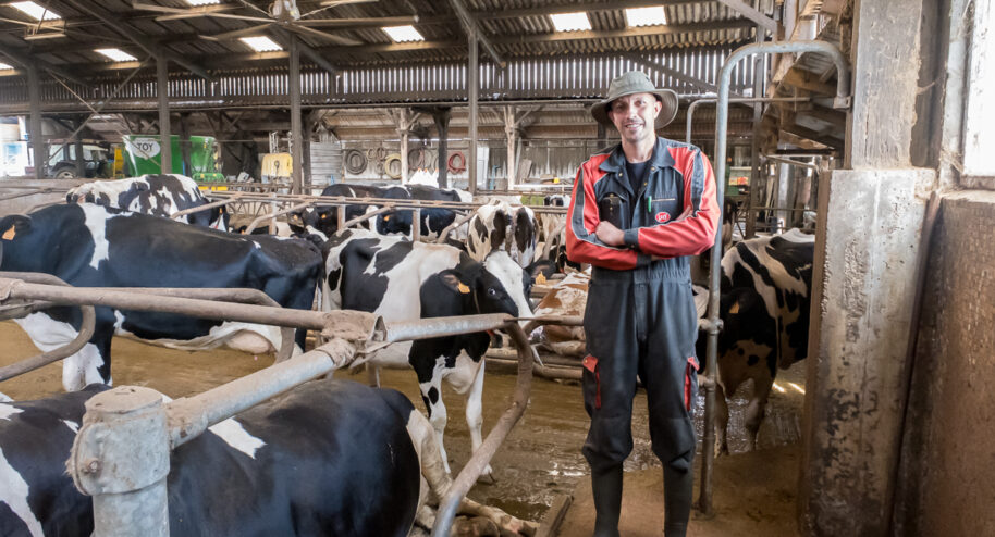 Damien Moan et ses vaches