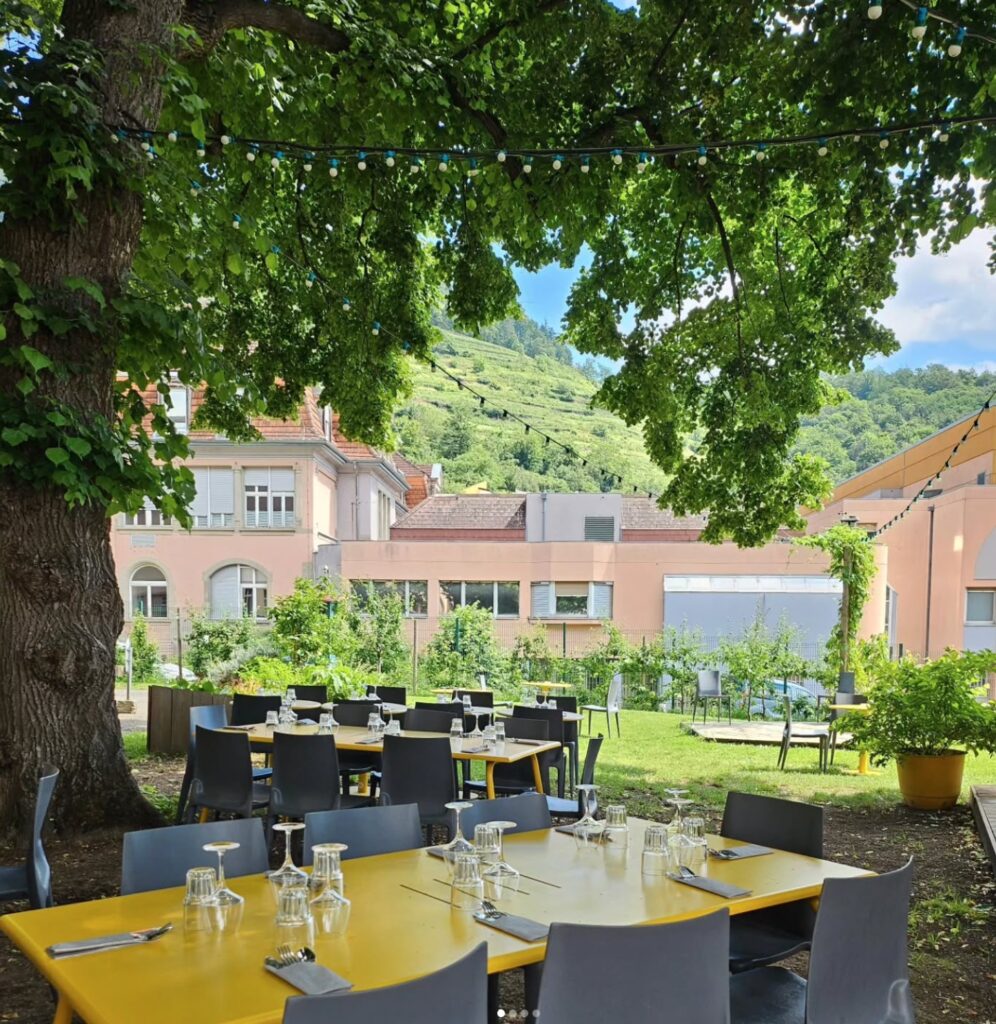 Un déjeuner local, bio et de saison à Guebwiller. Crédits : La Louve.