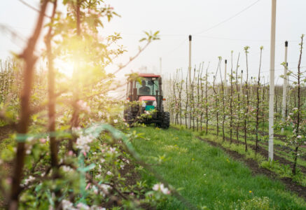 Comment se protéger des pesticides quand on habite à côté d’un champ traité ?
