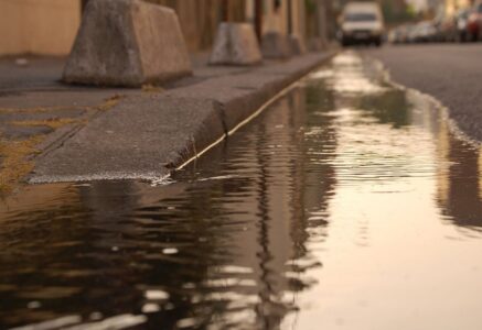 Il y a plein de vie… dans les caniveaux