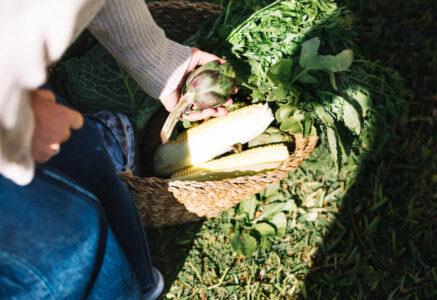 Cadmium, comment l’éviter au quotidien