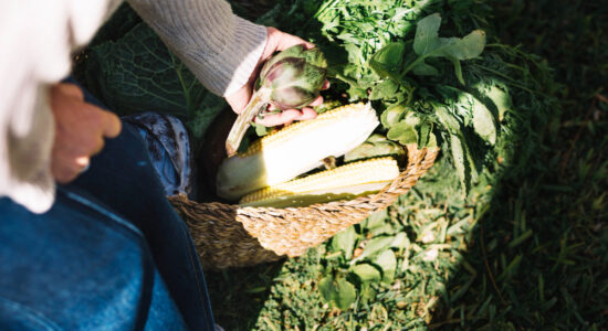 Cadmium, comment l’éviter au quotidien ?