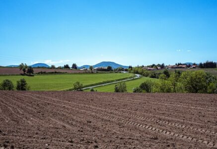 43% des terres agricoles françaises sont dédiées à l’exportation