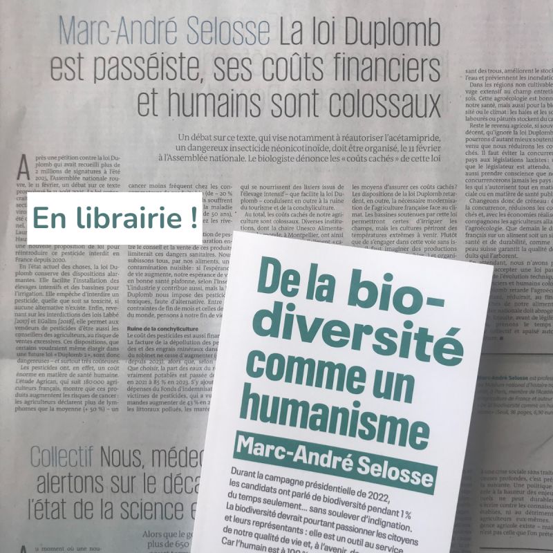 Tout comprendre à la biodiversité, avec le livre "De la biodiversité comme un humanisme" de Marc-André Selosse © LinkedIn Sophie Lhuillier Éditions du Seuil
