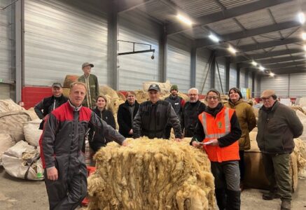 Mos-Laine : un maire tisse une filière laine locale pour aider les agriculteurs. Il raconte.