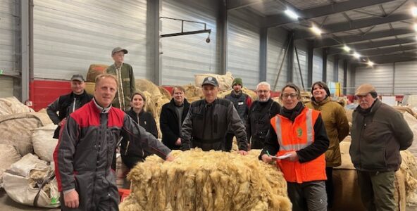 Mos-Laine : un maire tisse une filière laine locale pour aider les agriculteurs. Il raconte.