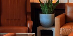 BIG sister : un café-brunch végétal à Nancy