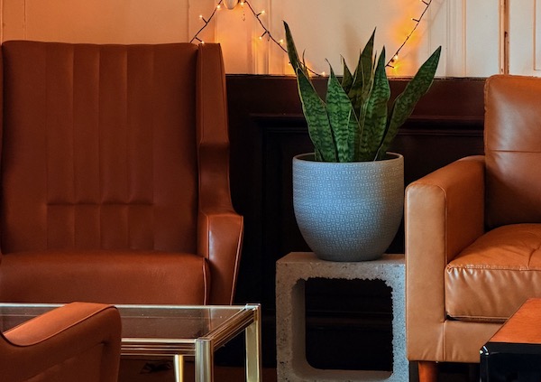 Big sister : café 100% végétal à Nancy. Crédit : Big Sister