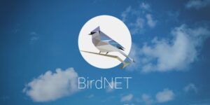 L&rsquo;appli BirdNET, pour découvrir les chants d’oiseaux en aidant la recherche