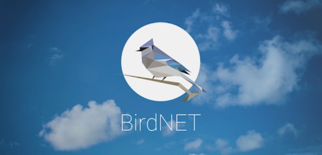 L'appli BirdNET permet d'identifier très facilement les oiseaux grâce à leurs chants. Crédits : BirdNET.