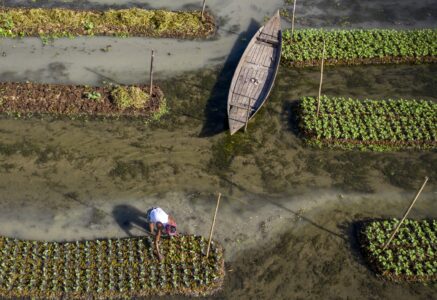 Quand l&rsquo;eau monte, elles jardinent dessus : le baïra au Bangladesh