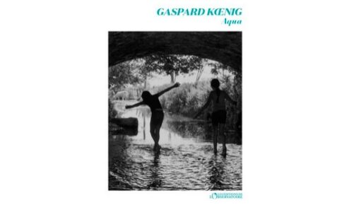 Aqua, de Gasaprd Koenig : un roman captivant qui nous plonge dans la bataille de l'eau / Crédit : Les éditions de l'observatoire (couverture)