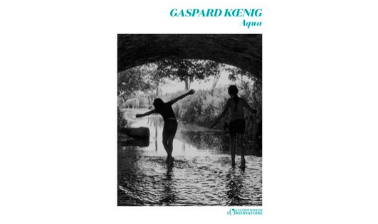Aqua, de Gasaprd Koenig : un roman captivant qui nous plonge dans la bataille de l'eau / Crédit : Les éditions de l'observatoire (couverture)