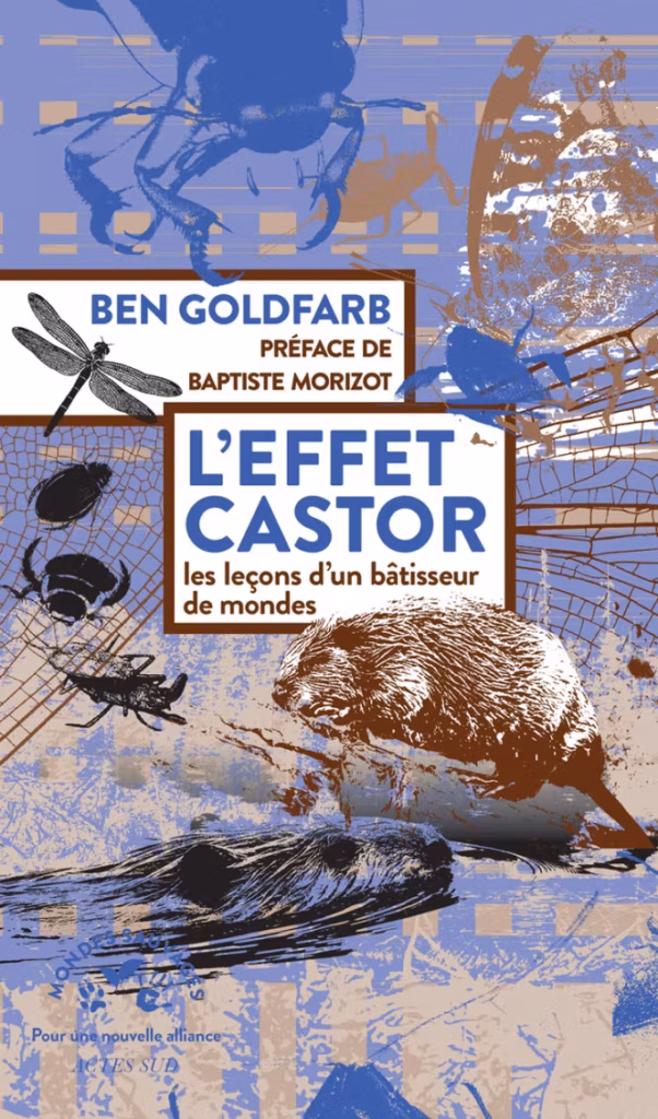 L'effet castor : une enquête passionnante sur le bâtisseur du monde / Crédit : Actes Sud