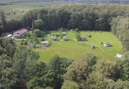 Dans les Vosges, camping nature et cabanes, nichés au cœur d&rsquo;une clairière au cœur d&rsquo;une forêt