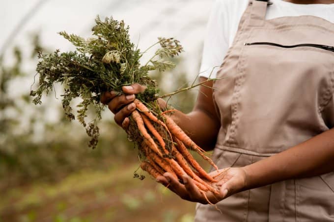Carrots