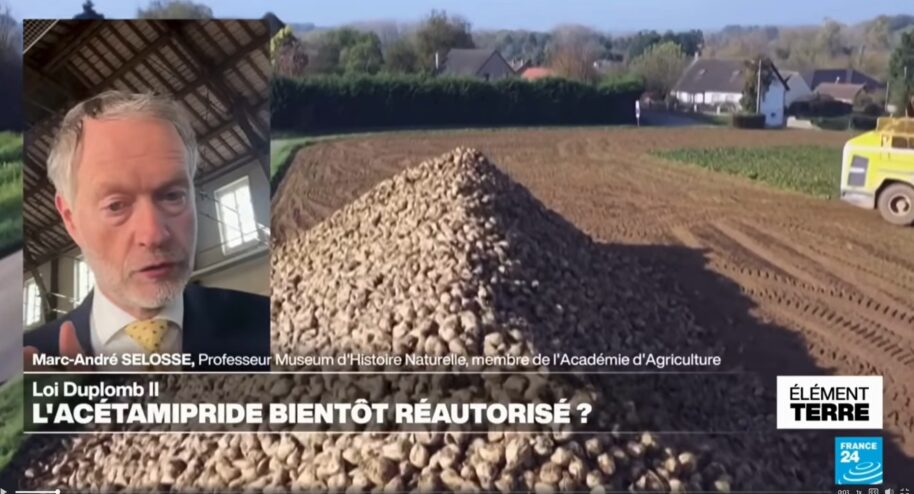 Agricultures alternatives : un scientifique dénonce la désinformation / Crédit : France 24 - Élément Terre