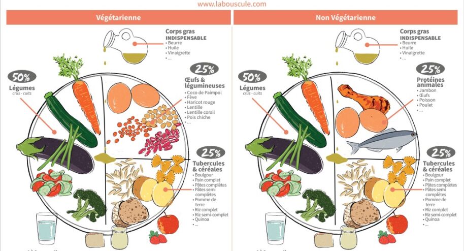 Un guide pratique recto verso pour une assiette idéale, bonne pour la santé et bonne pour la planète © La Bouscule