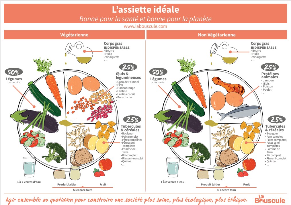 Un guide pratique recto verso pour une assiette idéale, bonne pour la santé et bonne pour la planète © La Bouscule