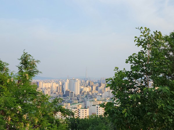 L'accès à la nature en ville est inégalitaire. / Crédit : J-Unsplash