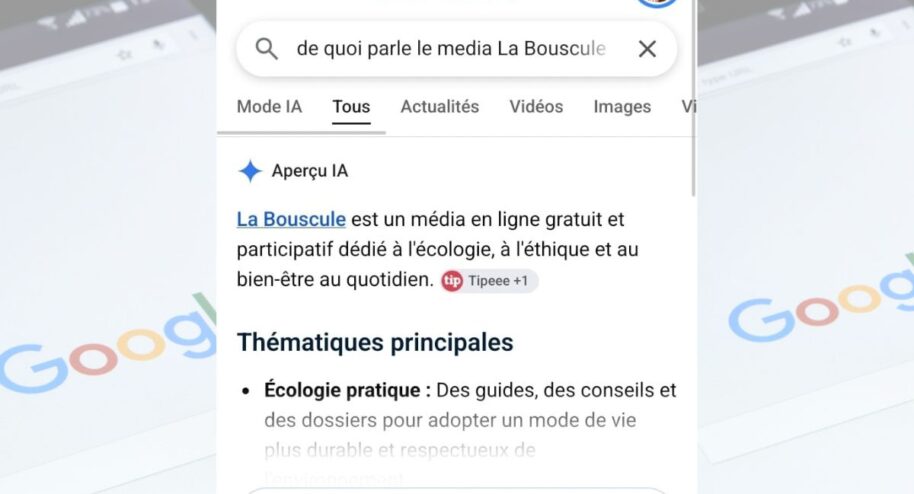 Notre tuto pour apprendre à supprimer les aperçus IA de Google. Montage : E.B pour La Bouscule